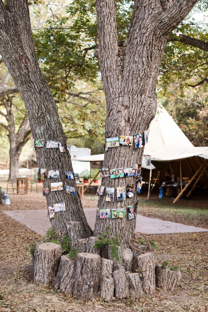 photos hung on tree outdoor wedding